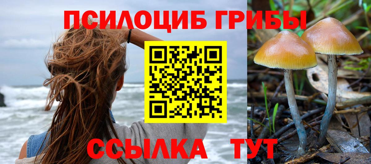Нерюнгри  Галлюциногенные грибы ЛСД  Вход с VPN 